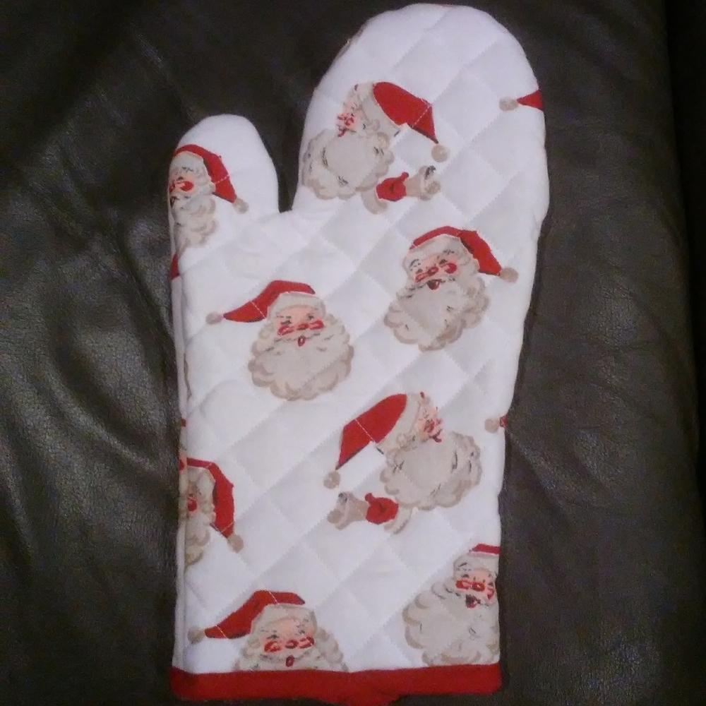 Oven Mitt